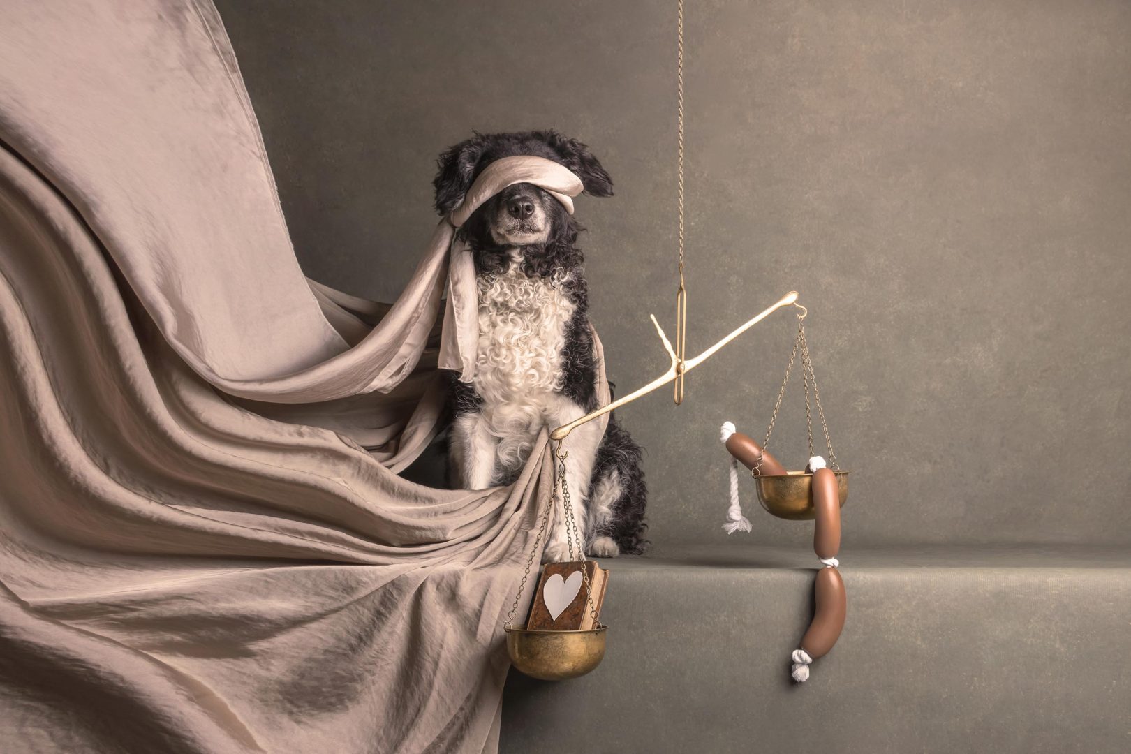 These Dog Photographer of the Year Winning Photos Will Have Your Tail Wagging All Day