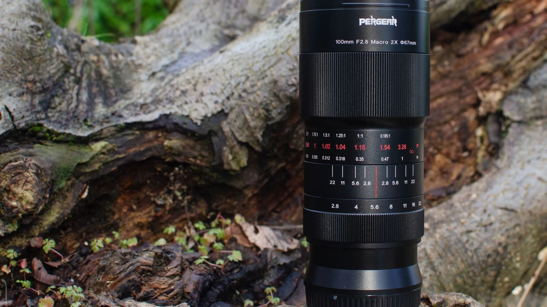 Black Pergear 100mm F2.8 macro lens displayed outdoors on natural wood showing detailed red and white aperture and distance scale markings.