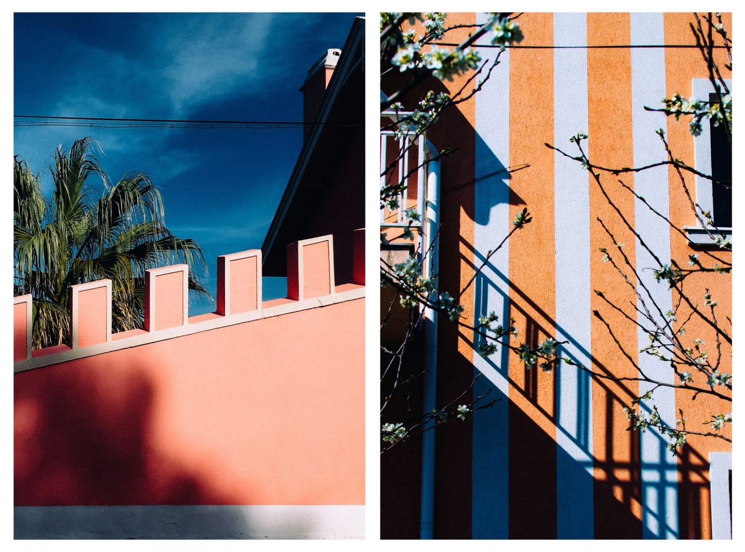 1839 Awards Reveal the 2025 Photographers Everyone Will Be Talking About