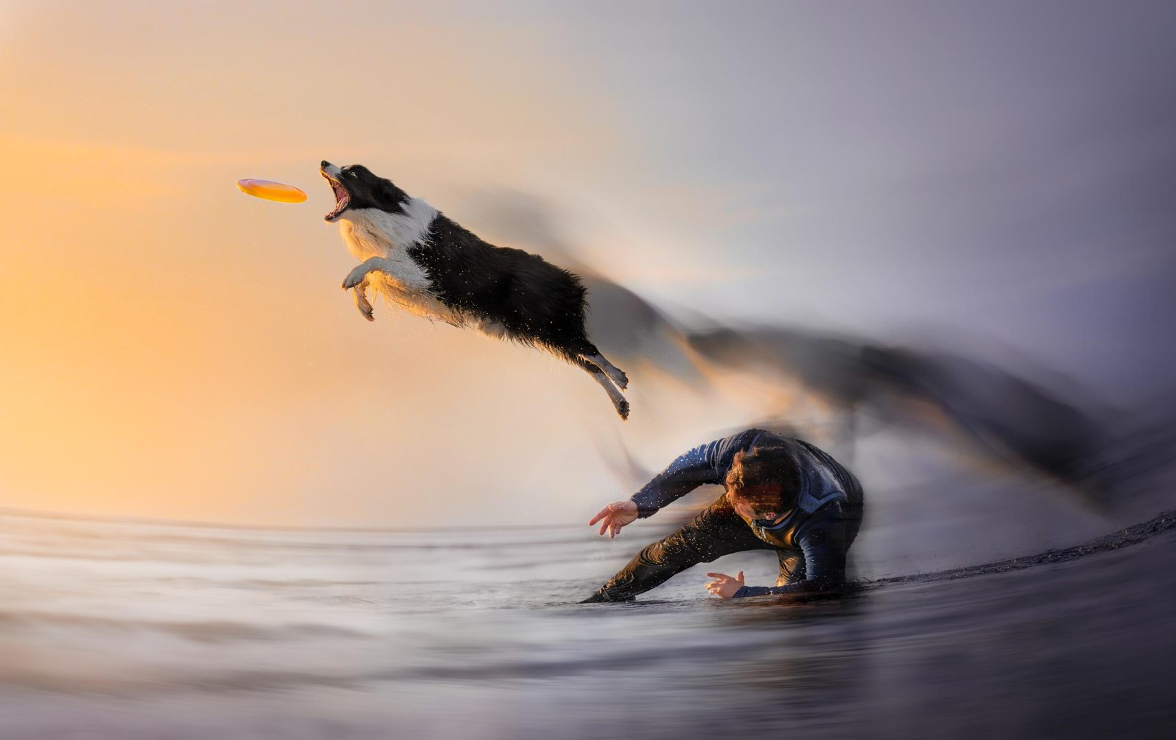 These Dog Photographer of the Year Winning Photos Will Have Your Tail Wagging All Day