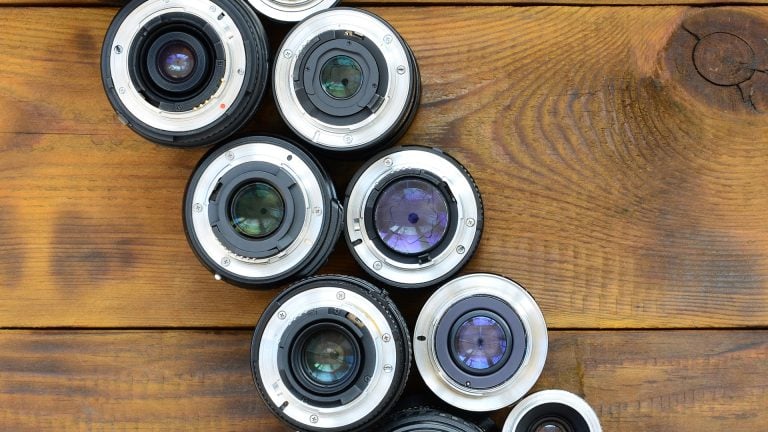 micro four thirds for wildlife