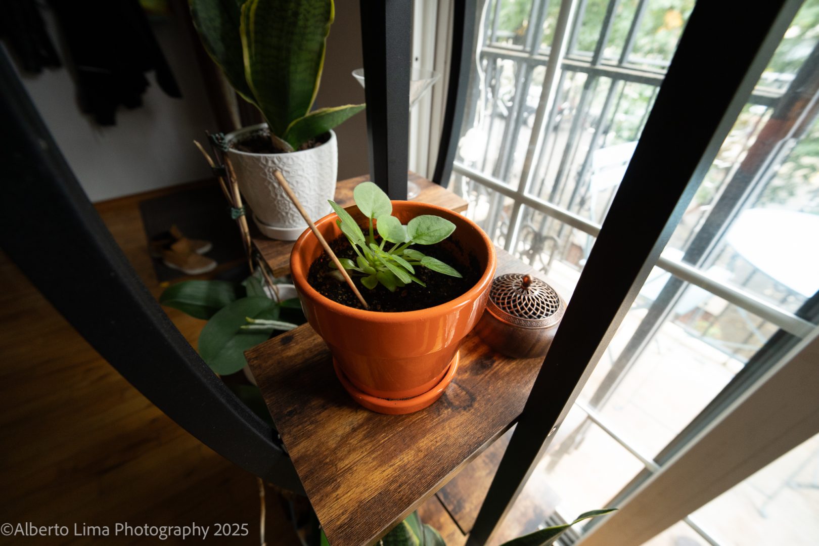 A sample image taken with the Viltrox AF 14mm F4 Air for Sony FE-mount Cameras.