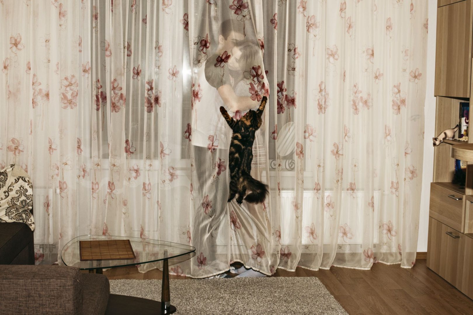 World Press Photo prints 70 anniversary