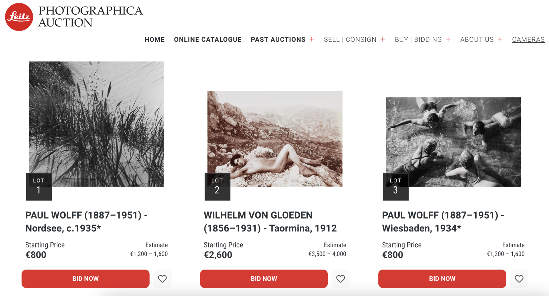 Screenshot of the auction website