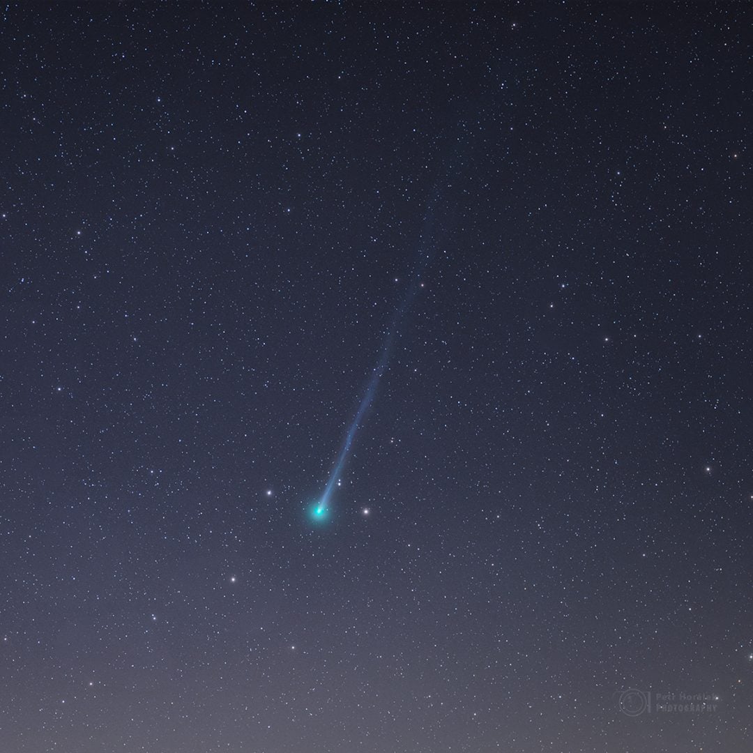 A close-up of the comet captured with a 135mm lens from the Czech Republic. Credit: Petr Horálek