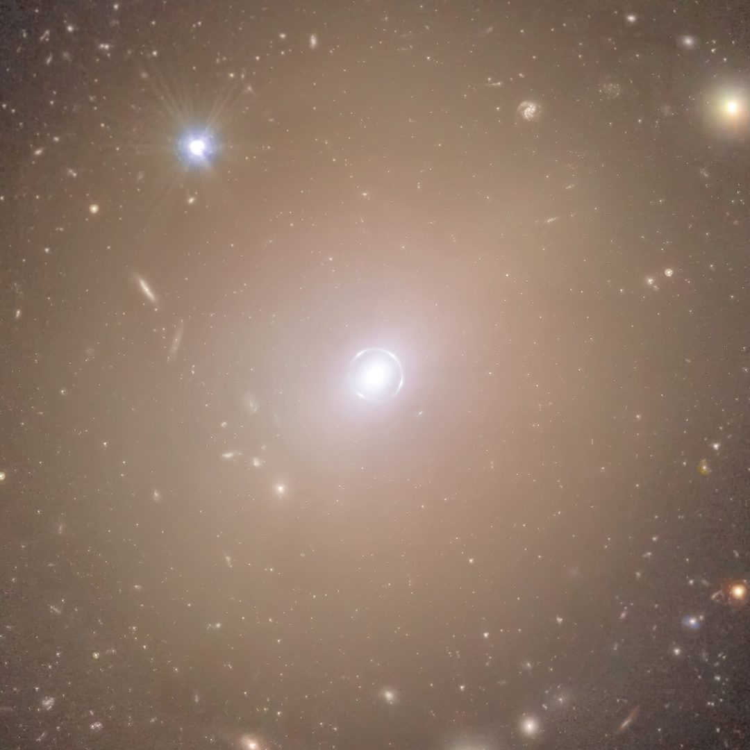 A close-up view of NGC 6505 and the Einstein ring. Credit: ESA/Euclid/Euclid Consortium/NASA, image processing by J.-C. Cuillandre, G. Anselmi, T. Li