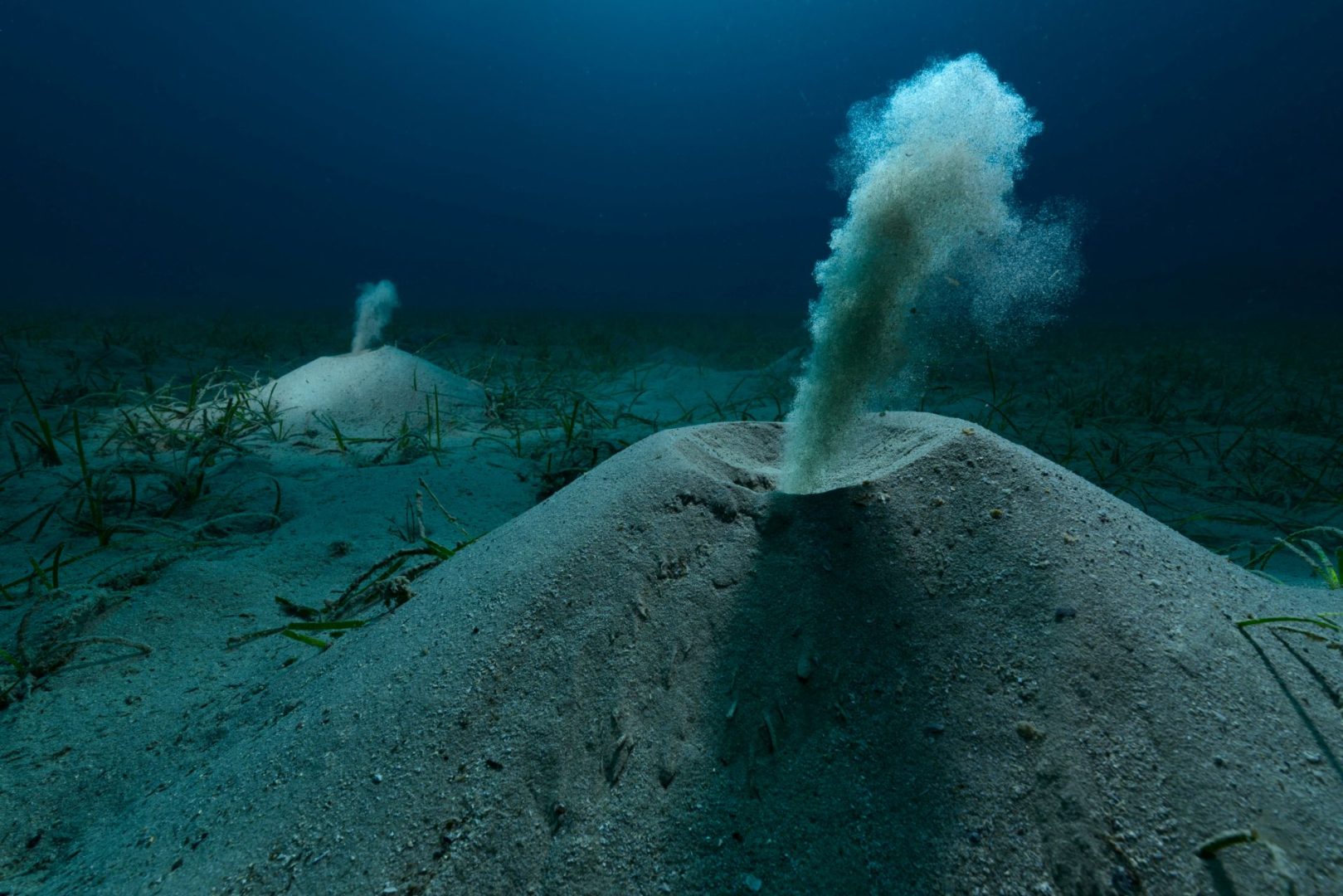 European Wildlife Photographer of the Year 2025