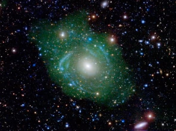 Image of UGC 1382, a giant low-surface-brightness galaxy, taken by the Galex space telescope. Credit: NASA/JPL/Caltech/SDSS/NRAO