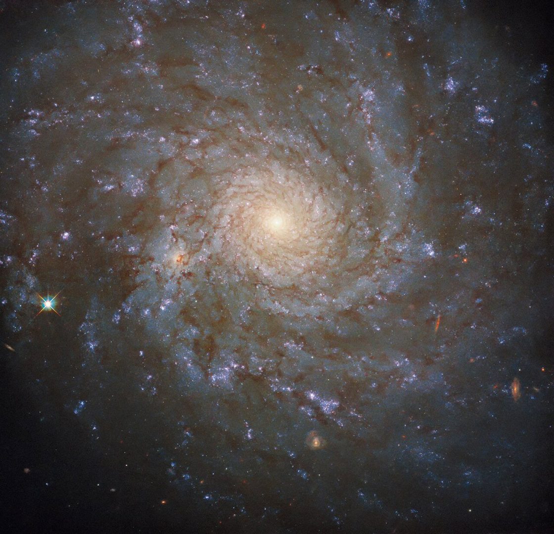 Earlier in 2022, the Hubble Space Telescope took a portrait of NGC 4571. Credit: ESA/Hubble & NASA, J. Lee and the PHANGS-HST Team