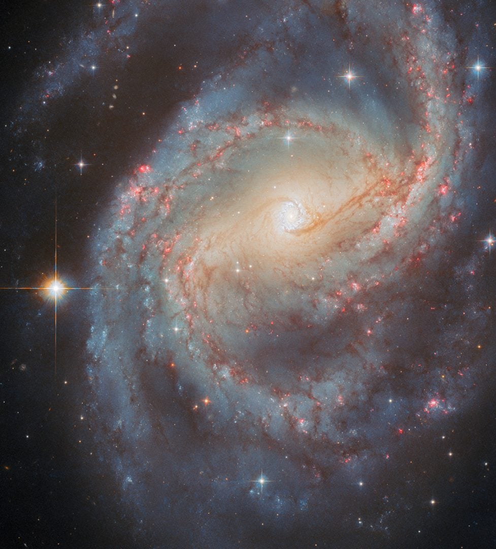 Hubble Space Telescope's latest image of NGC 6951. Credit: ESA/Hubble & NASA, L. C. Ho, G. Brammer, A. Filippenko, C. Kilpatrick