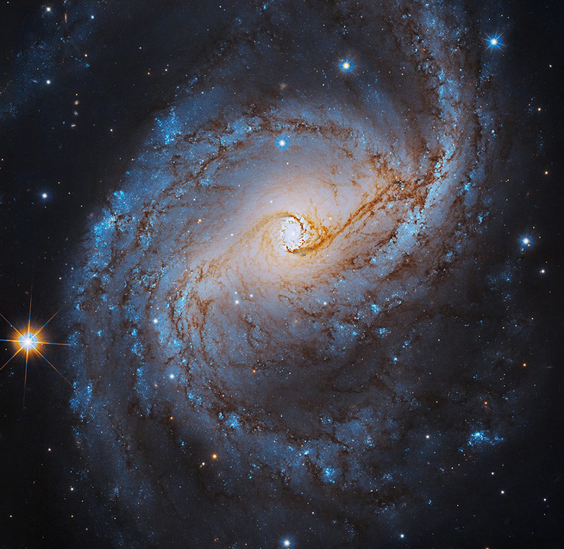 Hubble Space Telescope's 2023 image of NGC 6951. Credit: NASA, ESA, A. Filippenko (University of California - Berkeley), R. Foley (University of California - Santa Cruz), C. Kilpatrick (Northwestern University), and D. Sand (University of Arizona); Processing: Gladys Kober (NASA/Catholic University of America)