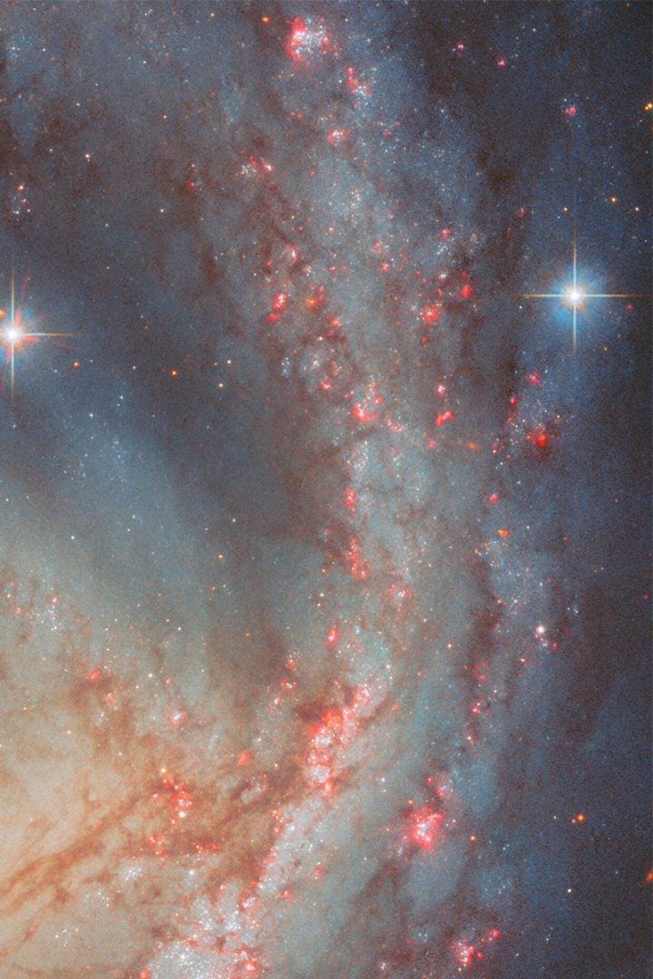 Star-forming regions across the spiral arms of NGC 6951. Credit: ESA/Hubble & NASA, L. C. Ho, G. Brammer, A. Filippenko, C. Kilpatrick
