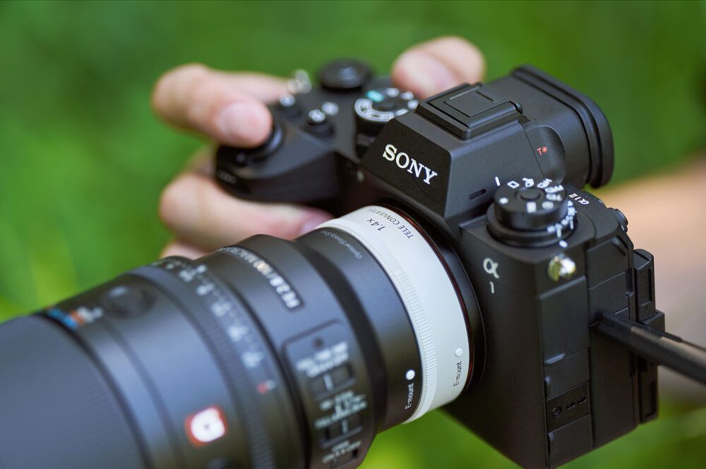 Sony FE 100mm f/2.8 Macro