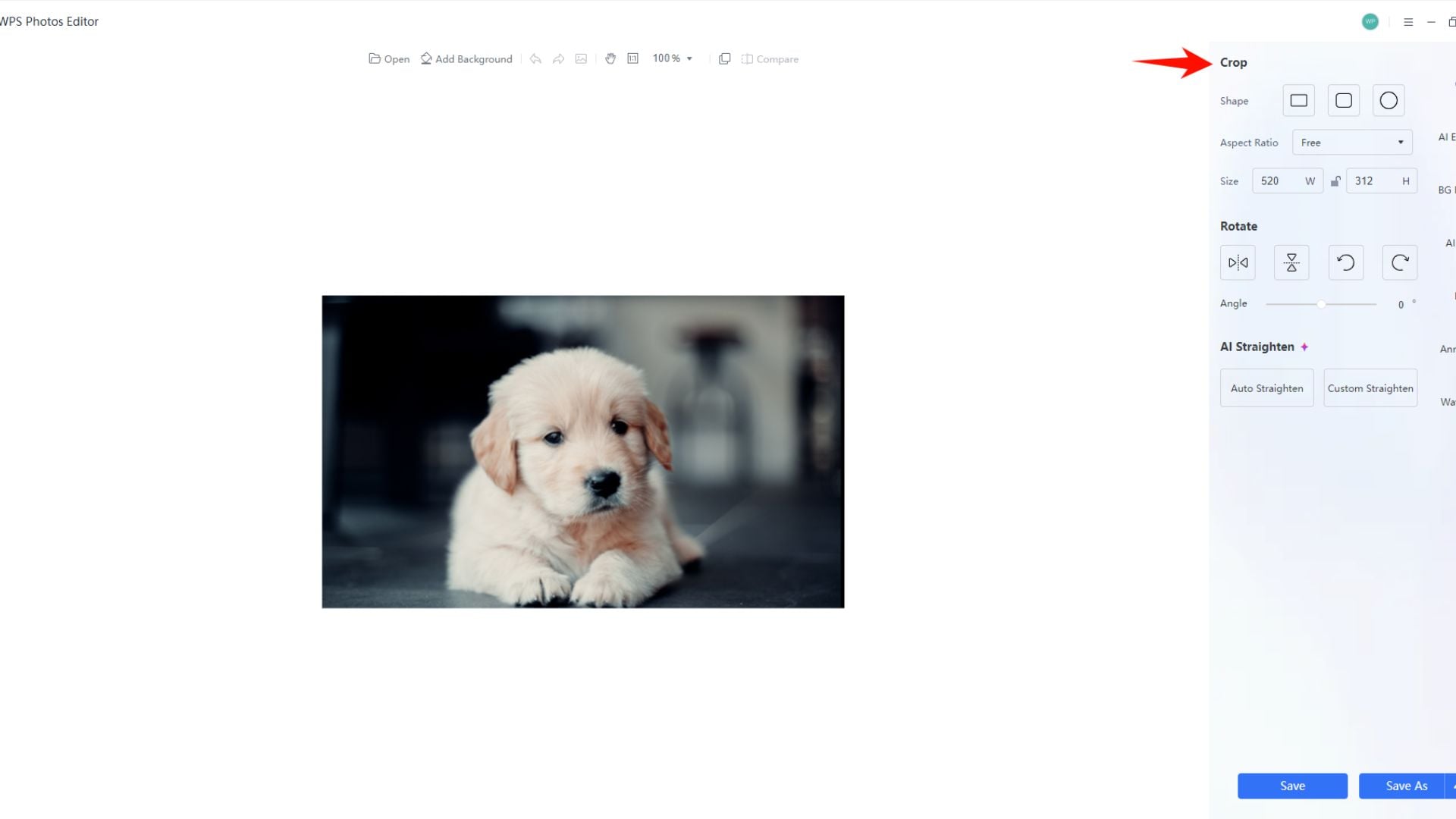 WPS Photos Editor interface showing crop tool highlighted with red arrow, displaying golden retriever puppy photo with shape options, aspect ratio settings, size inputs, and rotate controls.