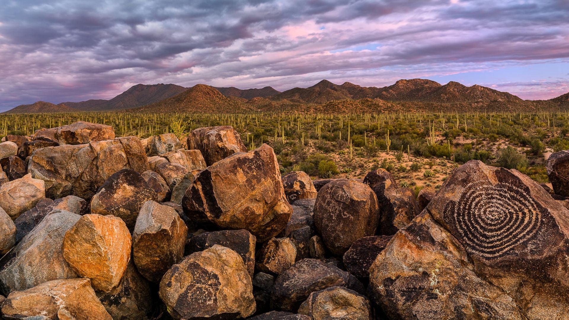 Ancient spiral petroglyphs carved on rocks in Arizona desert. Saguaro cactus forest and mountains under dramatic cloudy sky captured during golden hour sunset light.