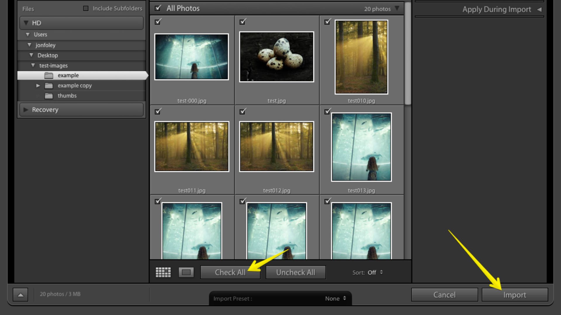 Lightroom import screen displaying 20 photos in grid view with check all button highlighted, showing forest and underwater photography thumbnails ready for import.
