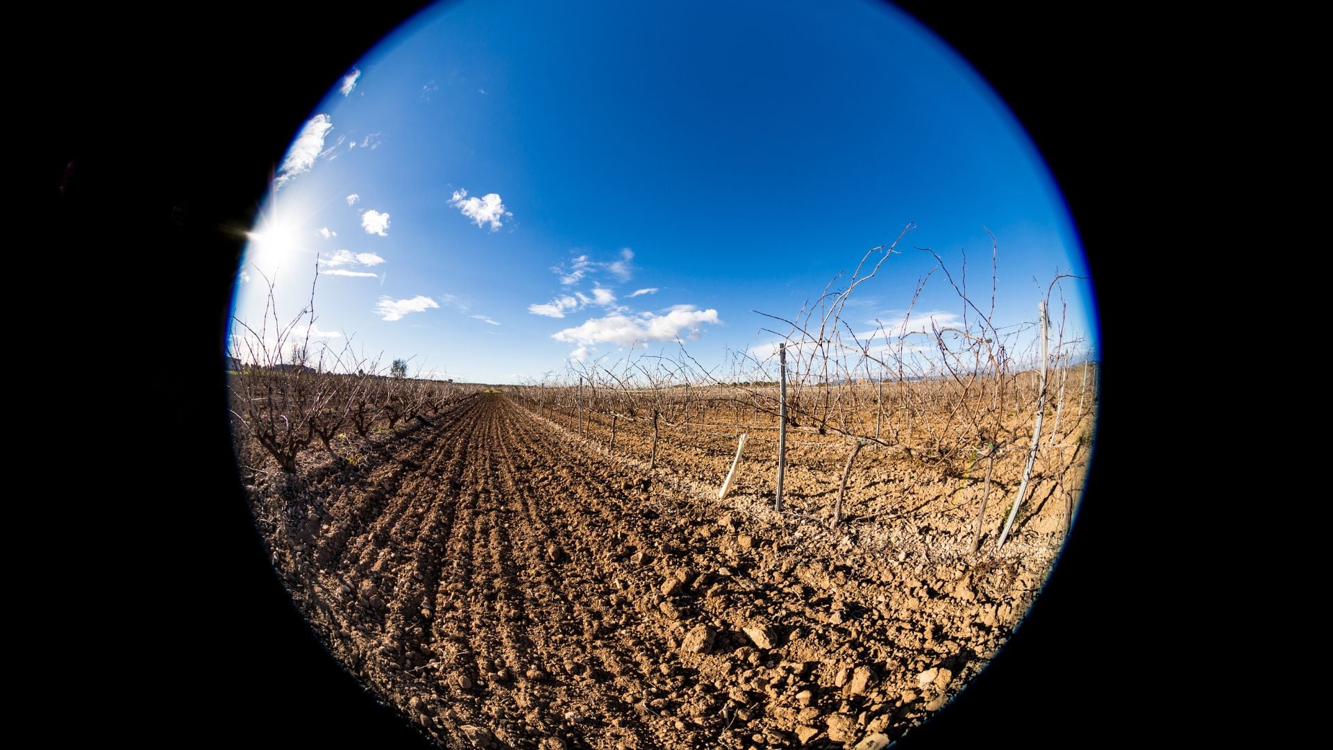 Circular fisheye view of plowed agricultural field with bare brown soil, sparse dried vegetation, bright blue sky with wispy clouds, bright sun flare creating dramatic curved horizon distortion.