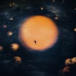 nature photographer of the year 2025 winner