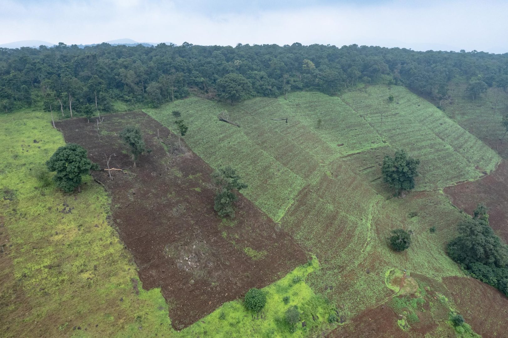 mining and deforestation in mountain landscapes