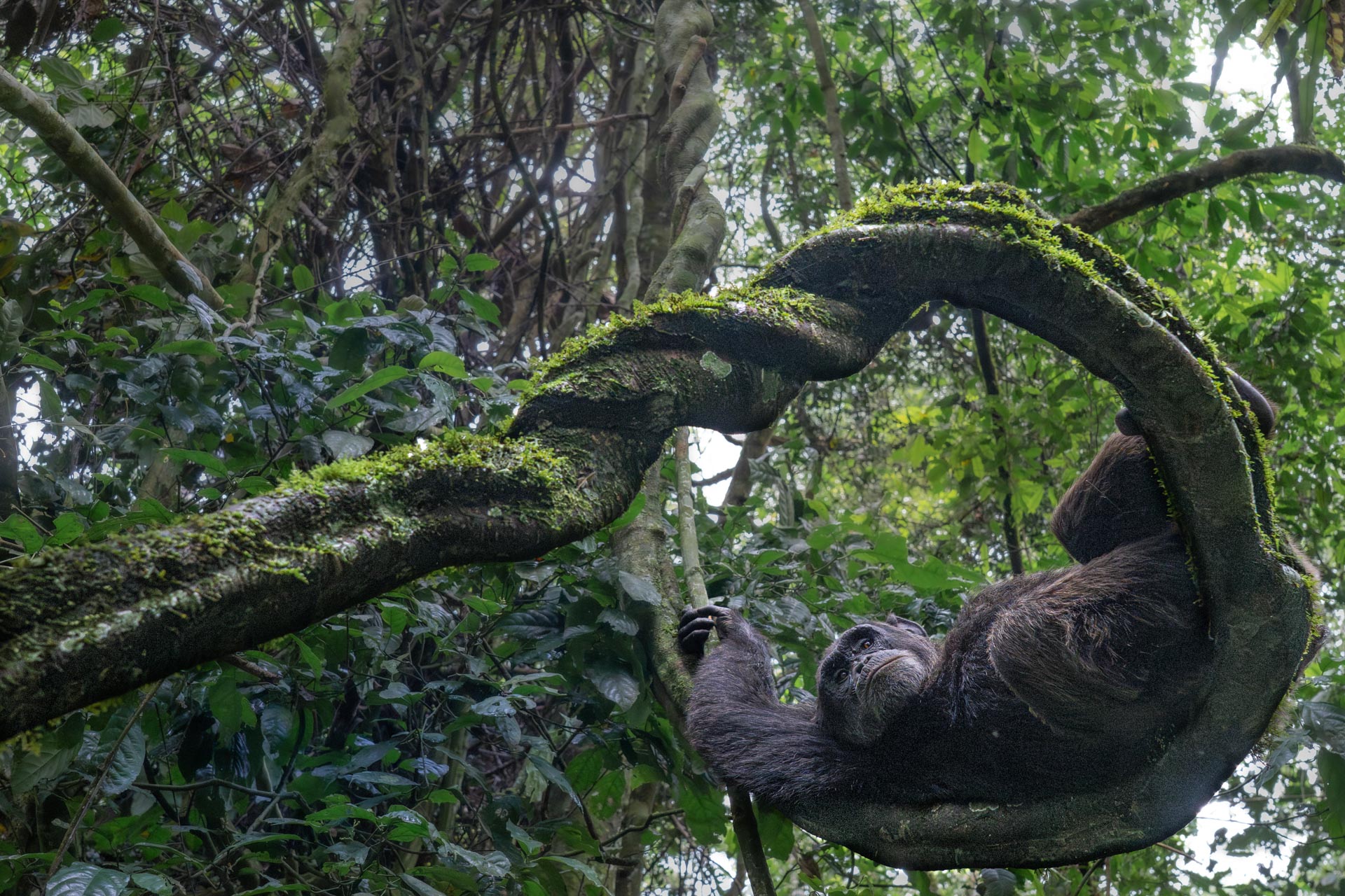 Nature inFocus