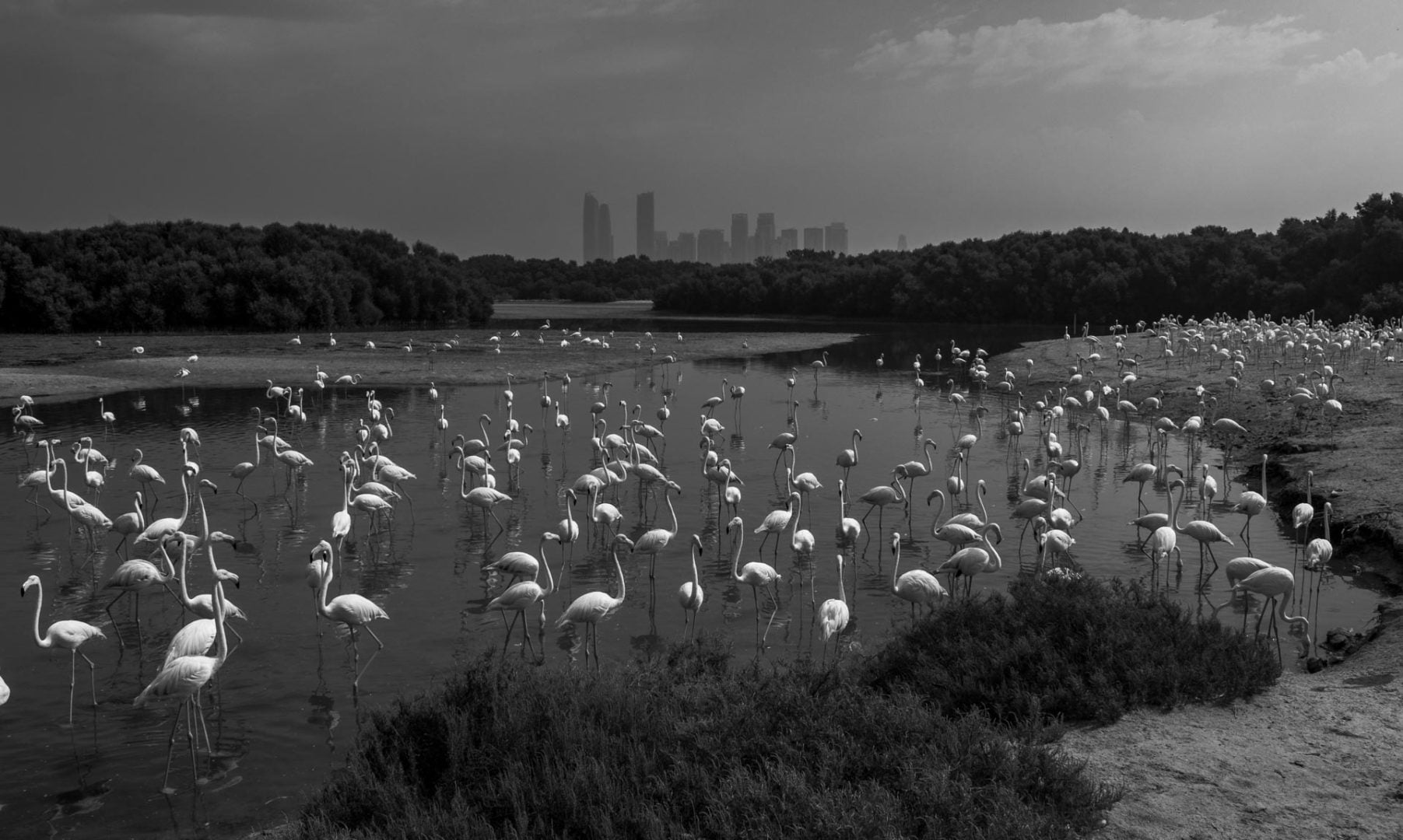 Nature inFocus 2025