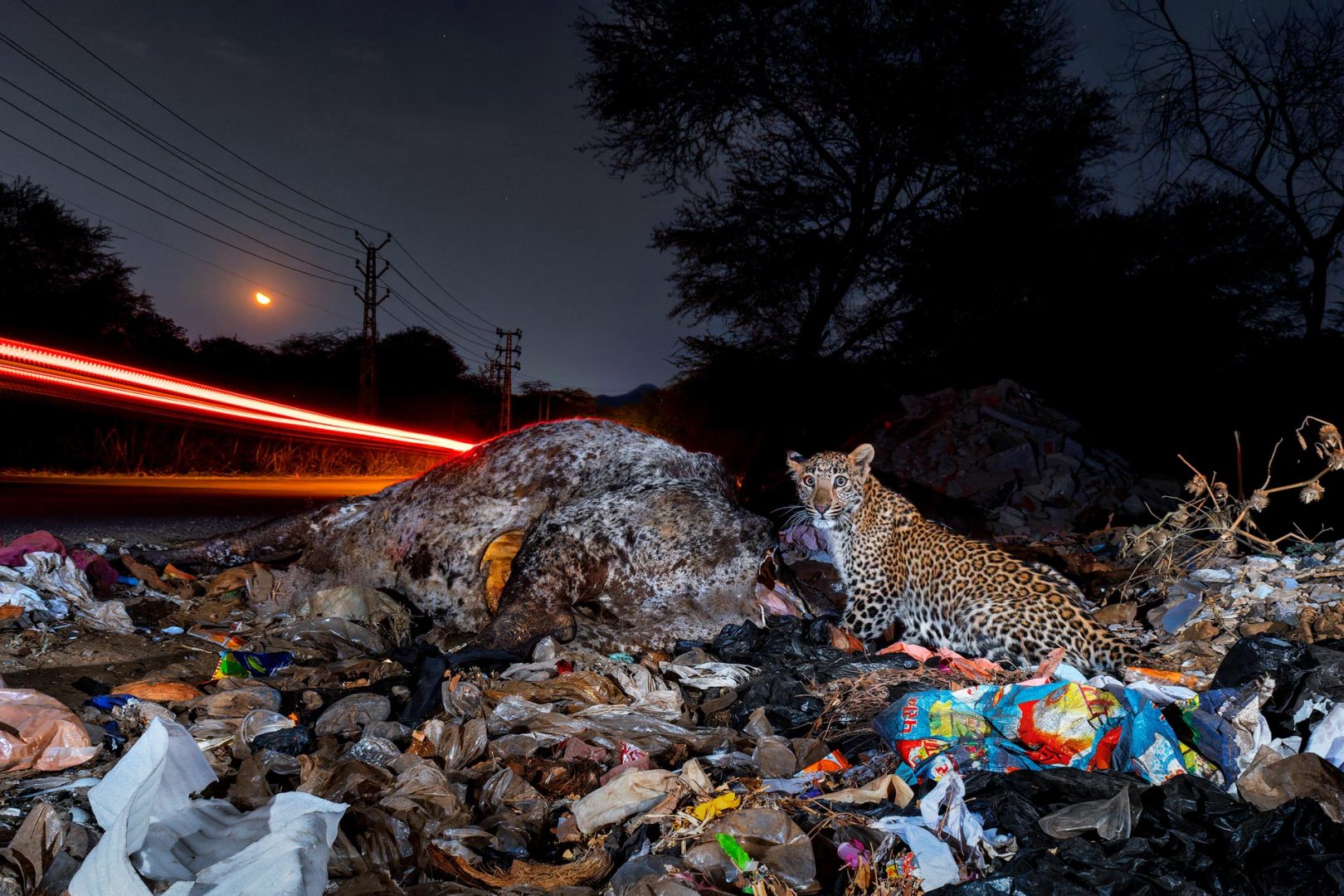 Nature inFocus 2025