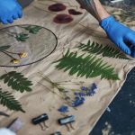 anthotypes