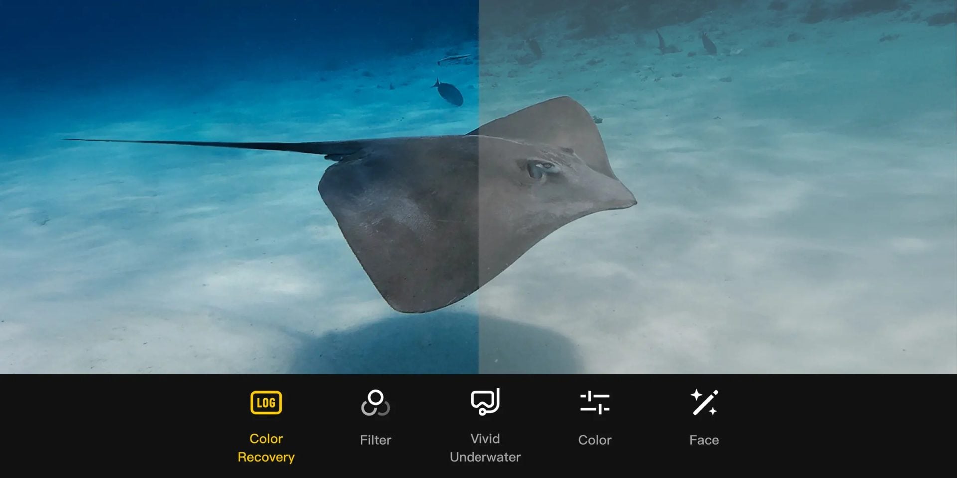 DJI Quietly Slipped a Variable Aperture Into The New Osmo Action 6 Action Cam