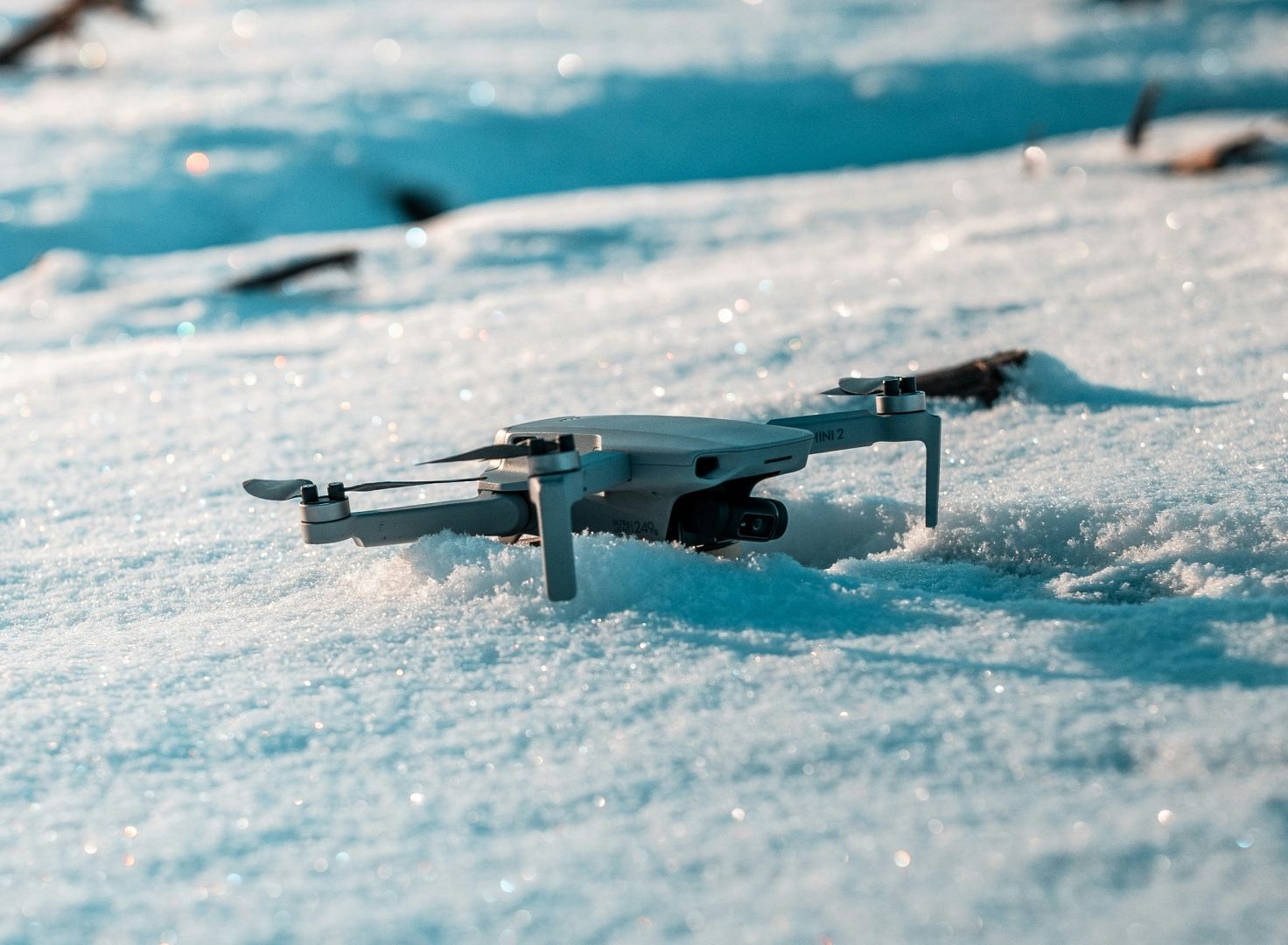 Drone guidelines around polar bears