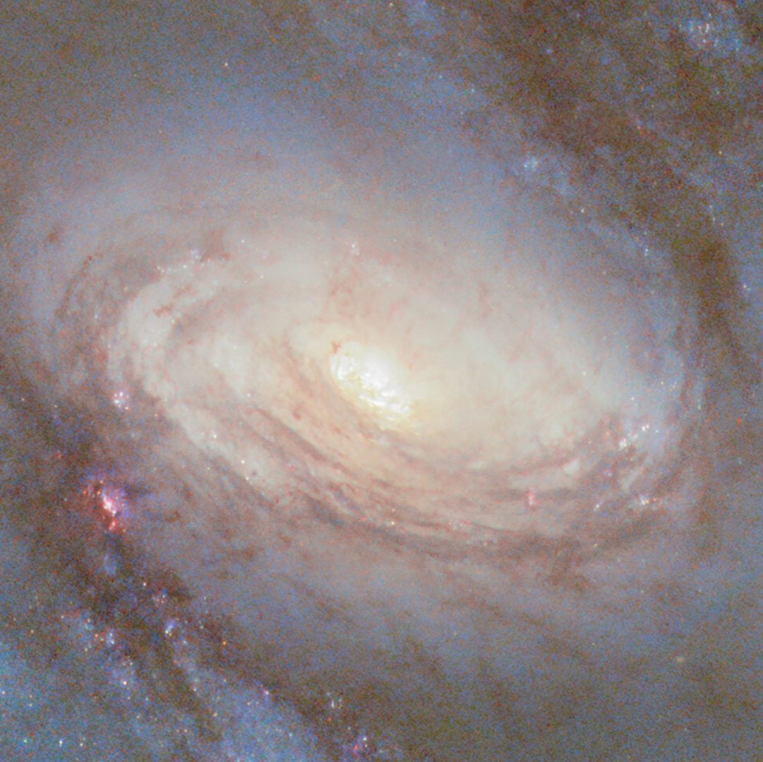 The core of the spiral galaxy NGC 4102. It hosts a supermassive black hole. Credit: ESA/Hubble & NASA, G. Fabbiano