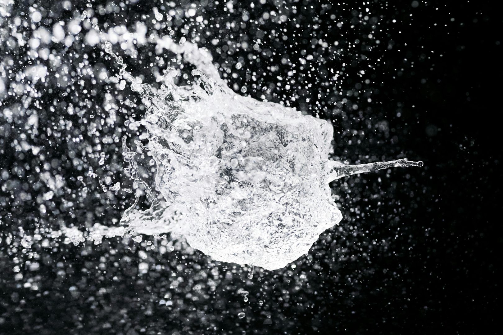 high-speed photography