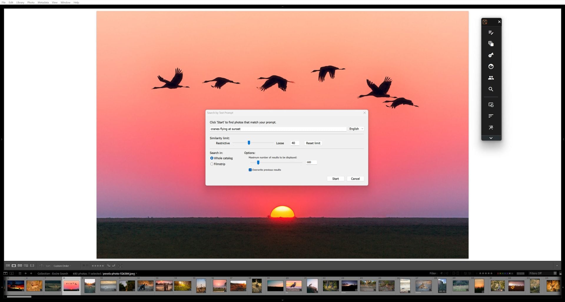 Cut Through Your Photo Library Faster with Excire’s Updated AI Tools