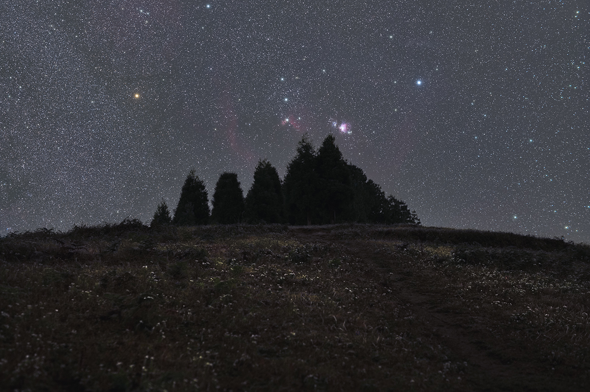 The Orion region consists of some of the largest and most popular nebulae in the night sky