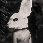 white rabbit