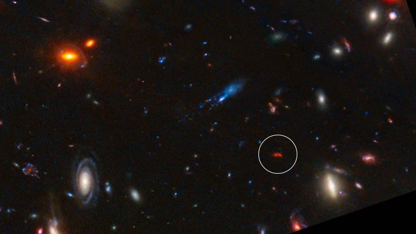 Glowing deep red from the distant past, galaxy Y1 shines thanks to dust grains heated by newly-formed stars (circled in this image from the James Webb telescope). Credit: NASA, ESA, CSA, STScI, J. Diego (Instituto de Física de Cantabria, Spain), J. D’Silva (U. Western Australia), A. Koekemoer (STScI), J. Summers & R. Windhorst (ASU), and H. Yan (U. Missouri)