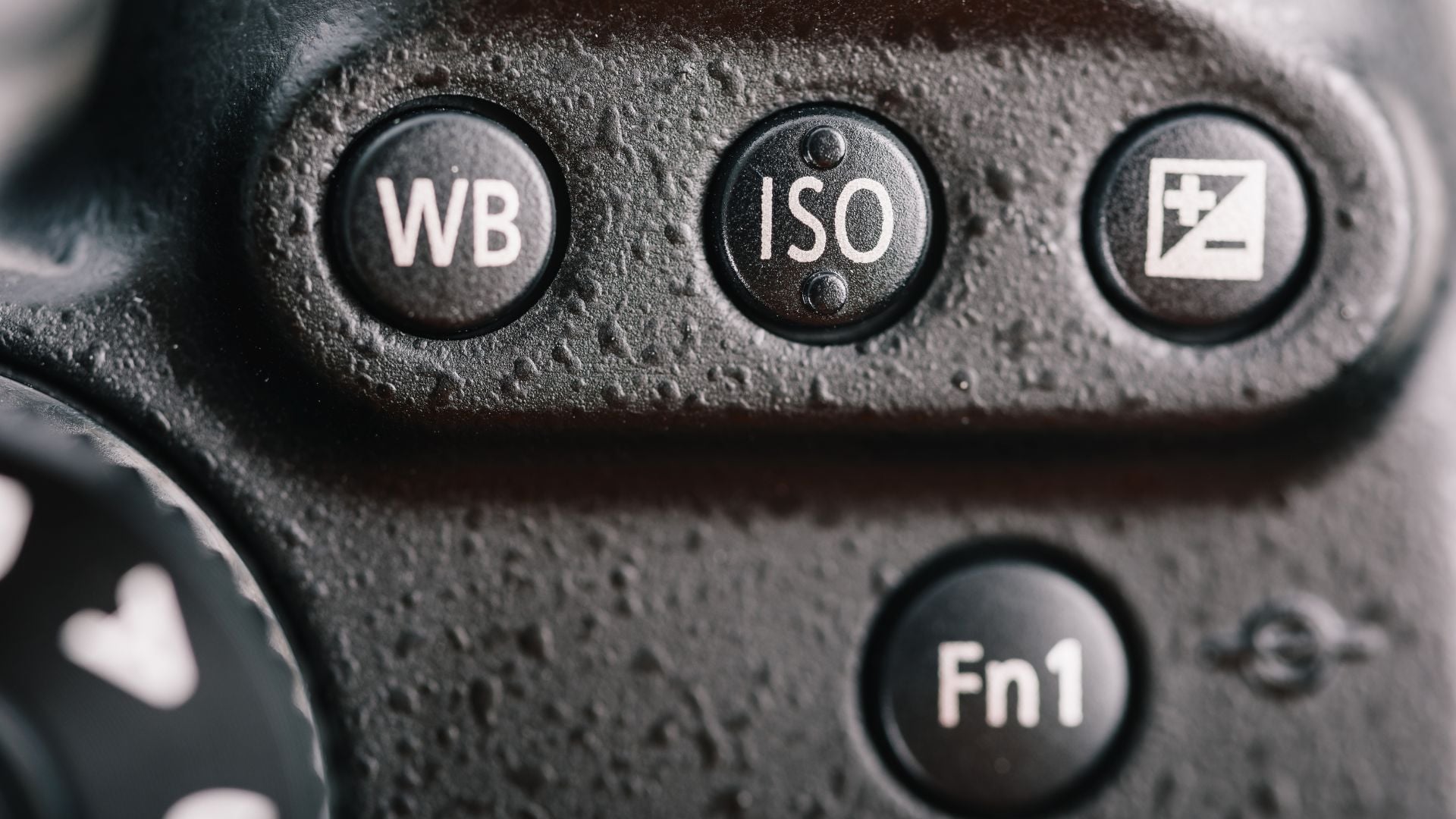 Macro view of three weatherproof camera buttons labeled WB (White Balance), ISO, and exposure compensation. Textured camera body shows water resistance with Fn1 button visible below.