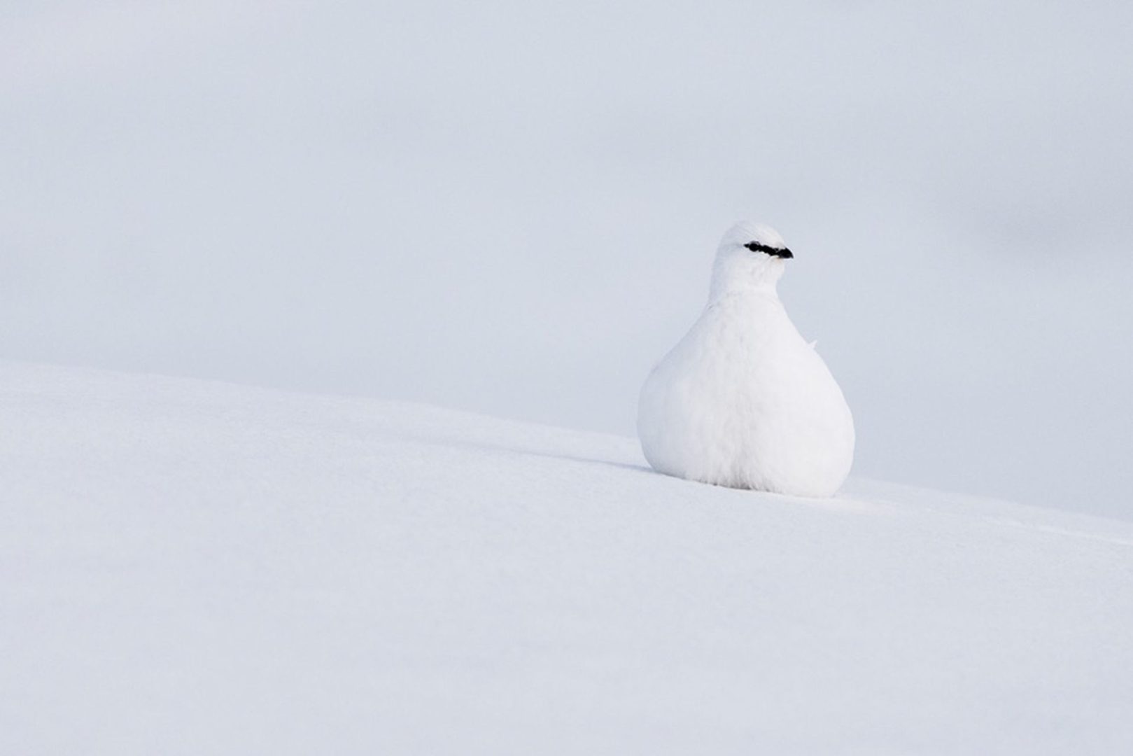 Sony World Photography Awards 2026 highlights