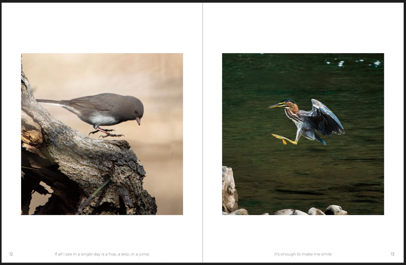 This Photographer Turned His Doorstep into a Wildlife Project. Here’s How to Capture Neighborhood Wildlife