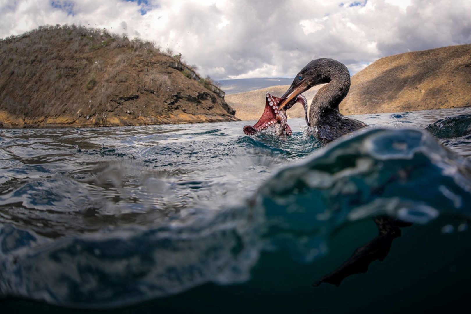 Sony World Photography Awards 2026 highlights