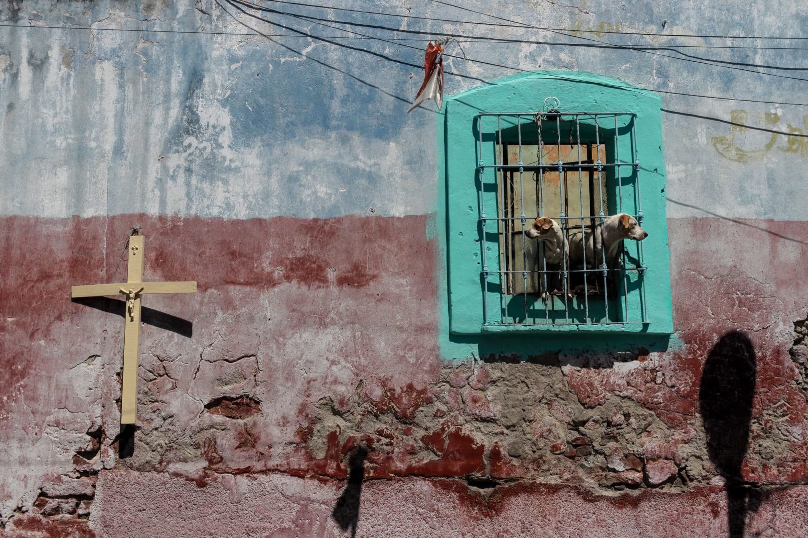 Extraordinary Moments in Ordinary Places: AAP #52 Street Winners Announced
