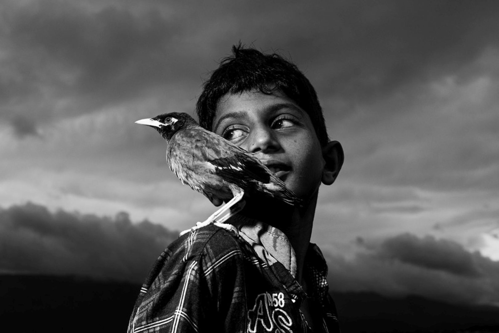 black and white boy and bird