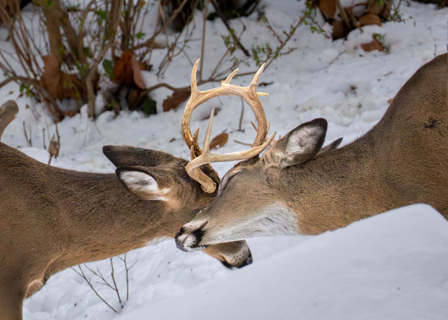 Sony World Photography Awards 2026 highlights