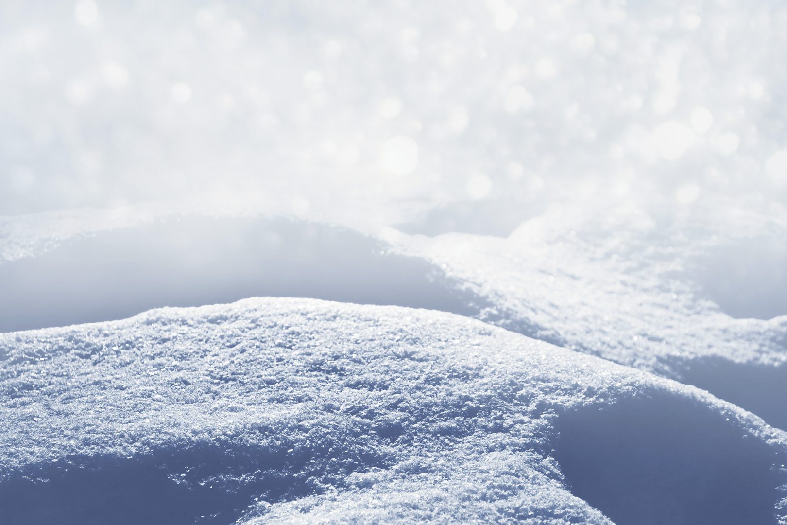 Winter Photography snow bokeh