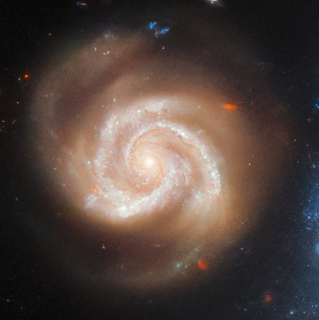 A cropped view of MCG-02-05-050a, the smaller galaxy in the pair Arp 4. Credit: ESA/Hubble & NASA, J. Dalcanton, Dark Energy Survey/DOE/FNAL/DECam/CTIO/NOIRLab/NSF/AURA