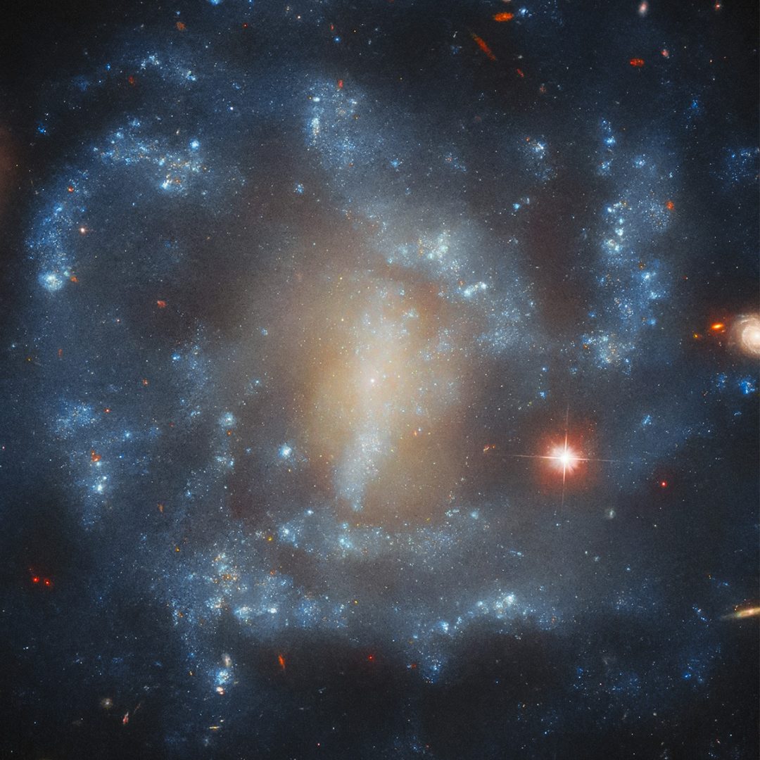 A cropped view of MCG-02-05-050, the galaxy with low surface brightness. Credit: ESA/Hubble & NASA, J. Dalcanton, Dark Energy Survey/DOE/FNAL/DECam/CTIO/NOIRLab/NSF/AURA
