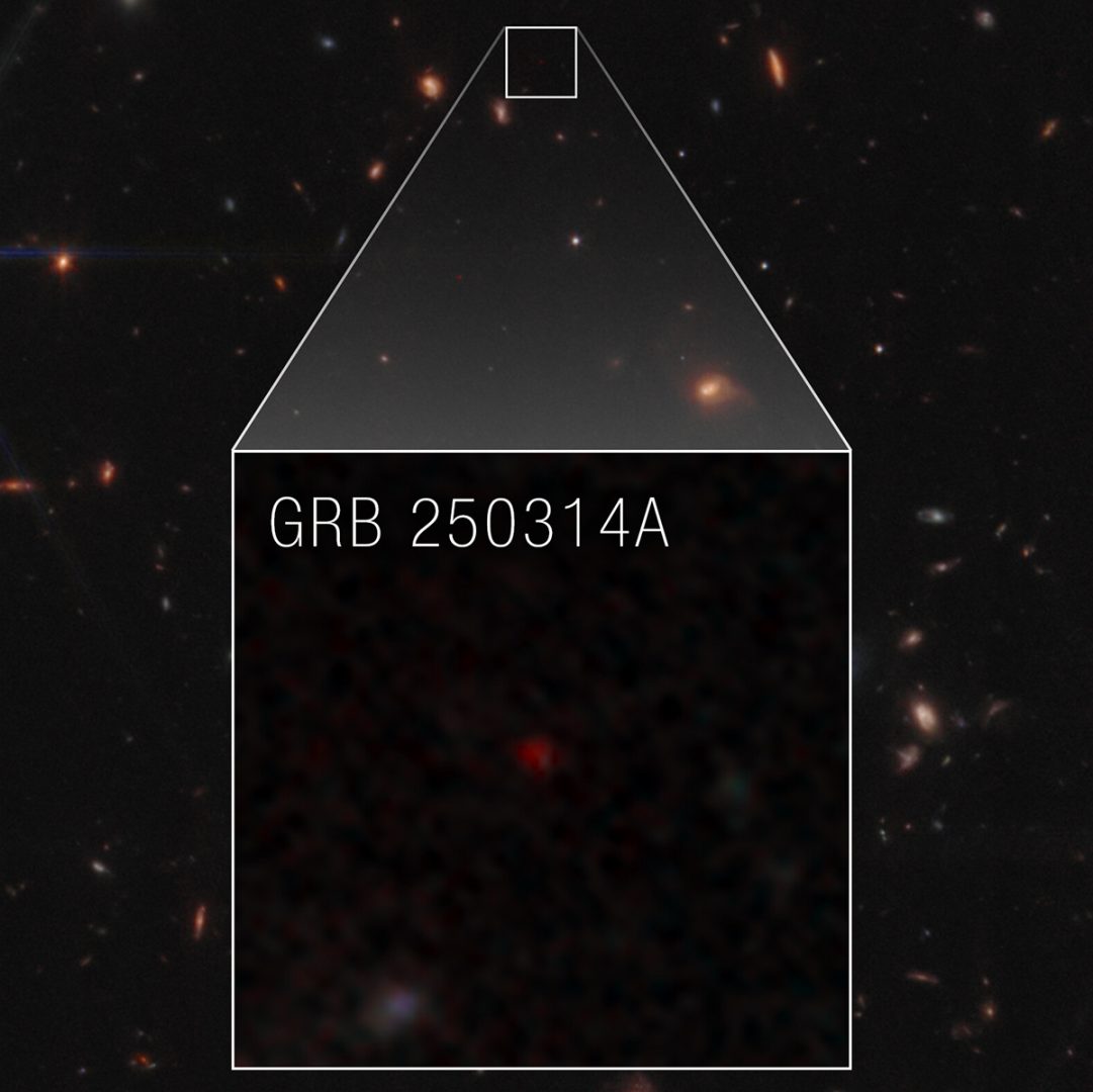 A cropped close-up of the supernova GRB 250314a. Credit: NASA, ESA, CSA, STScI, A. Levan (IMAPP), Image Processing: A. Pagan (STScI)