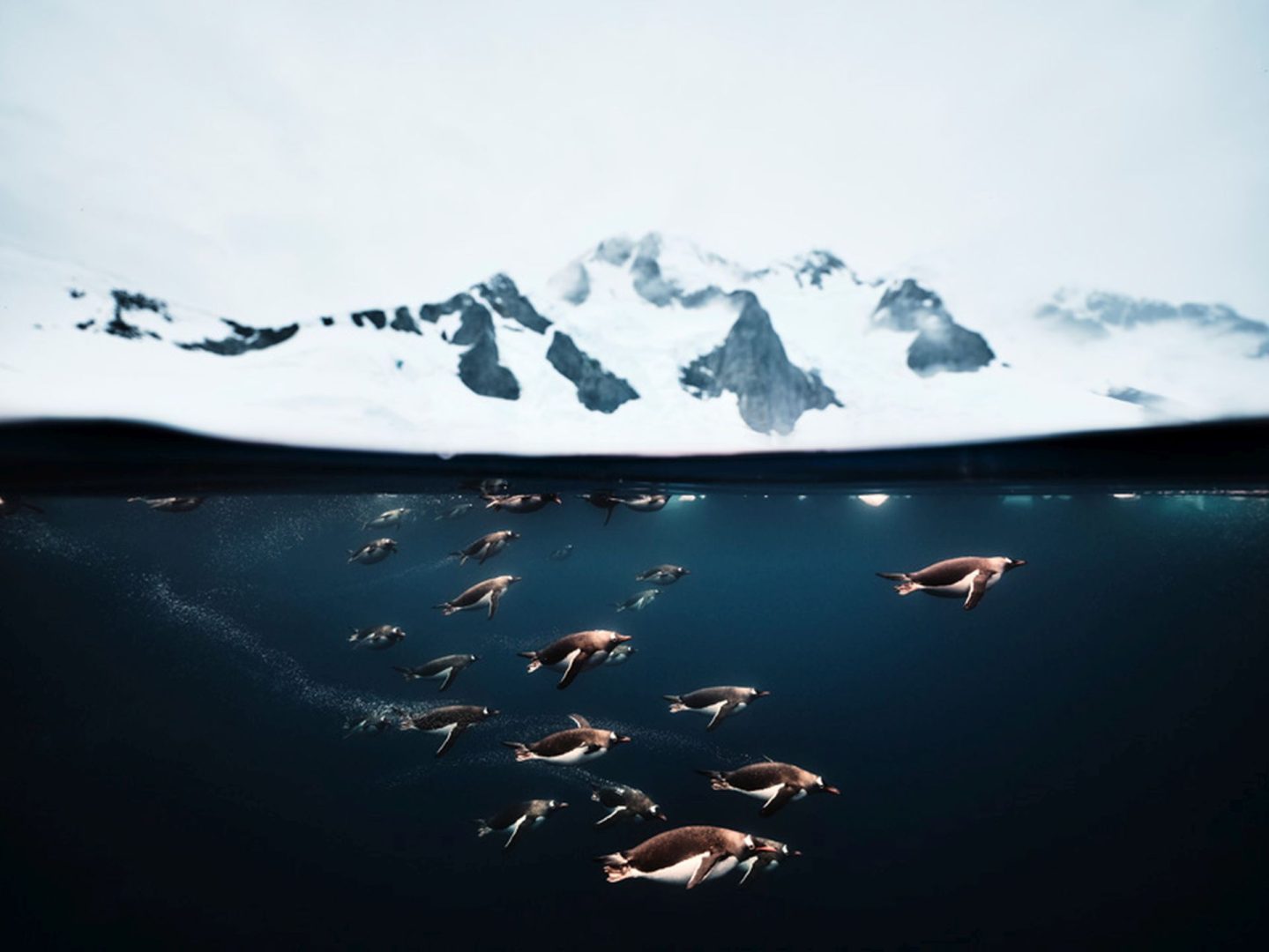 Sony World Photography Awards 2026 highlights