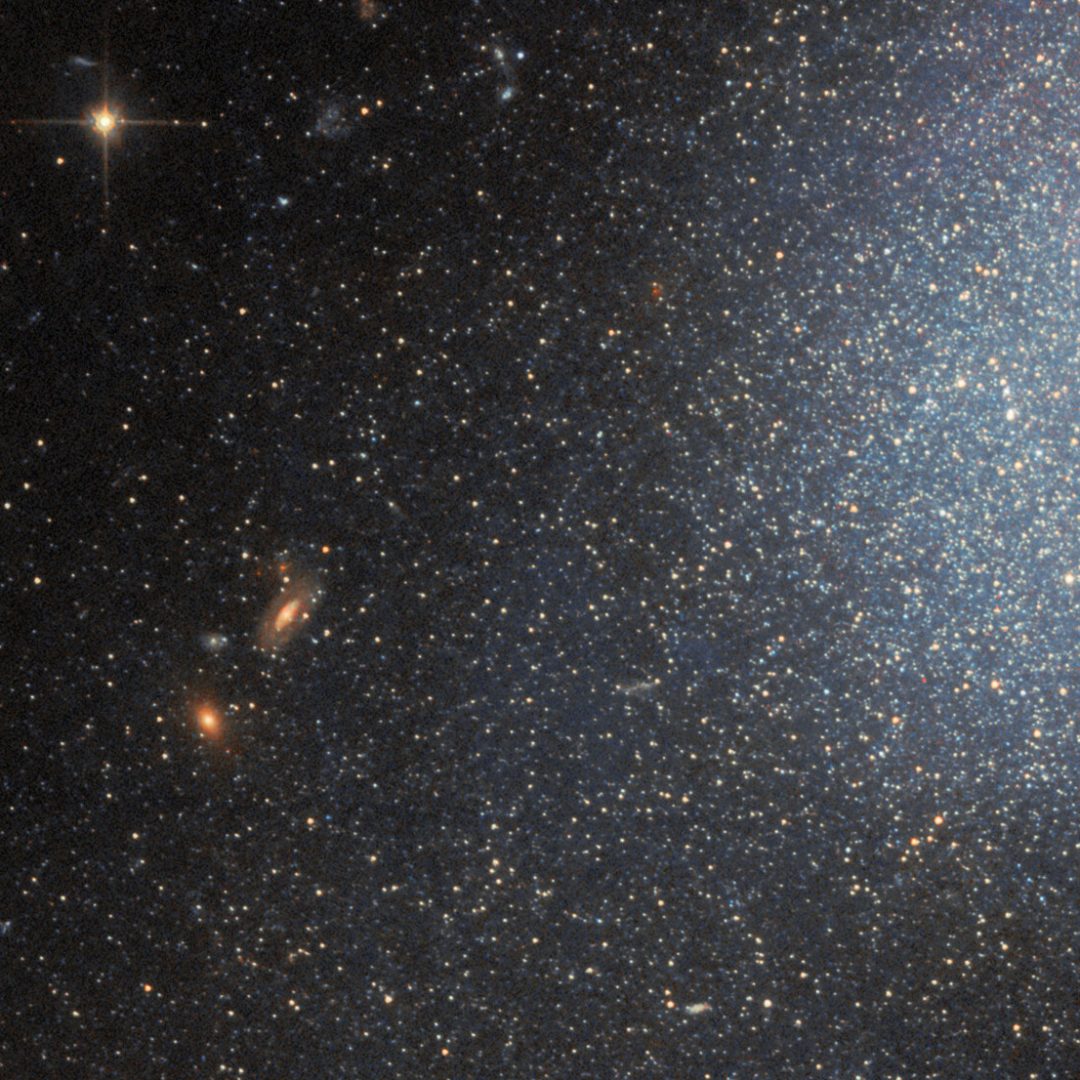 Young blue stars of Mrk 178 and some faraway galaxies, as seen in the Hubble image. Credit: ESA/Hubble & NASA, F. Annibali, S. Hong