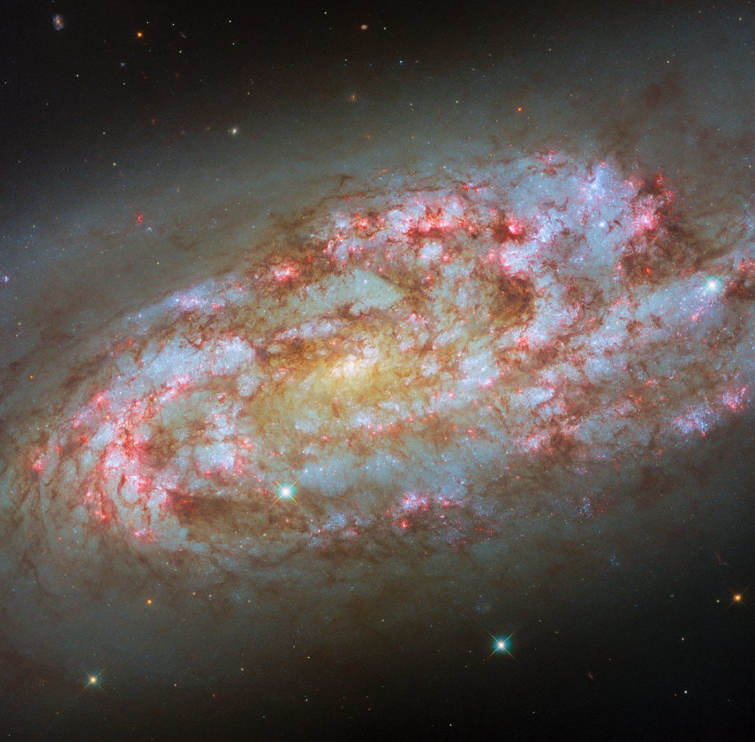 Hubble Space Telescope's new image of NGC 1792. Credit: ESA/Hubble & NASA, D. Thilker, F. Belfiore, J. Lee and the PHANGS-HST Team