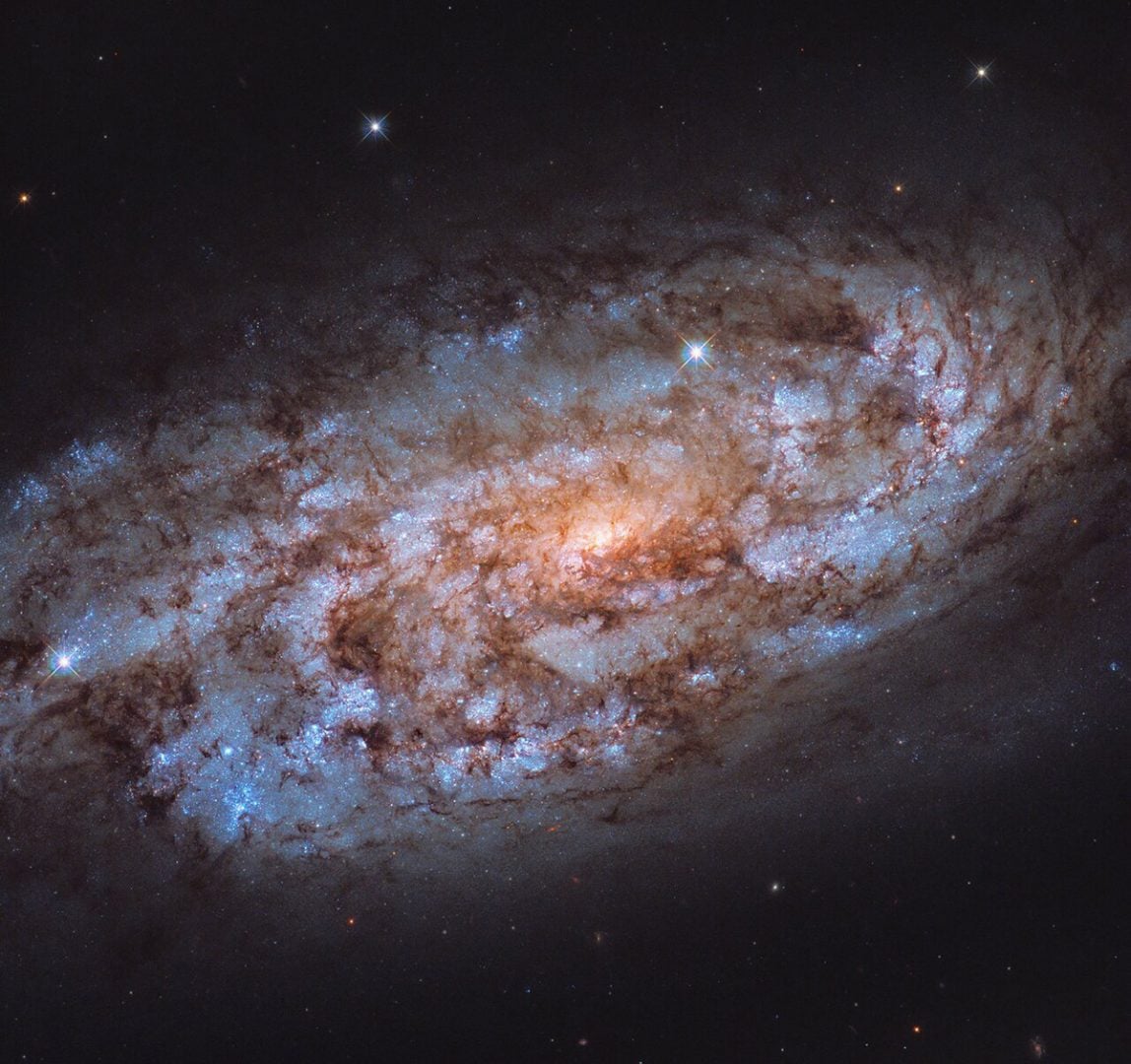 The Hubble Space Telescope had previously photographed the spiral galaxy NGC 1792 in 2020. Credit: ESA/Hubble & NASA, J. Lee Acknowledgement: Leo Shatz